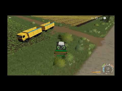 Видео: Farming Simulator 19. Словацкая деревня. Серия 15. Продажа первого хлеба - цена удивила. Уборка поля