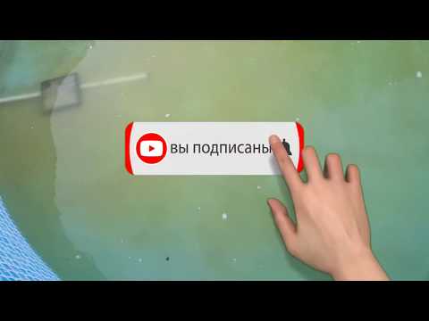 Видео: Продолжаем эксперимент, карпы, раки, караси в бассейне! Пробуем сами