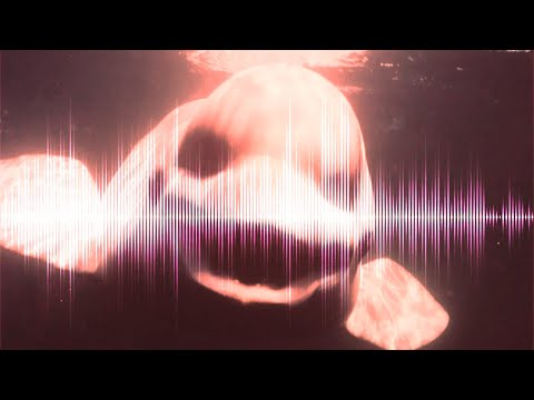 Видео: Тозақтын дыбысы естілді ме ? Әлемдегі ең қорқынышты дыбыстар