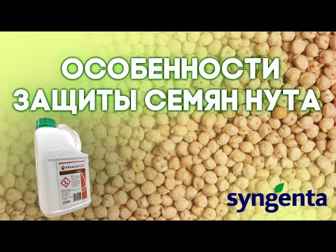 Видео: НУТ |  Особенности защиты семян |