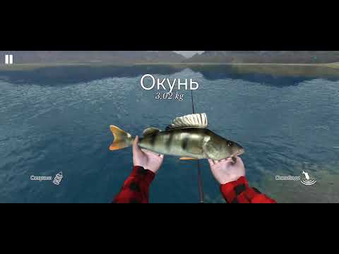 Видео: 2 выпуск! Игра Ultimate Fishing Simulator. Ловля: окуня, щуки и судака! На спиниг. 