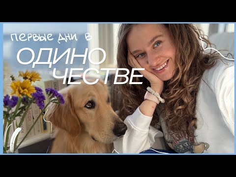 Видео: Как я "вывожу" одиночество, часть 1 | муж уехал, жизнь в новом штате | Северная Каролина