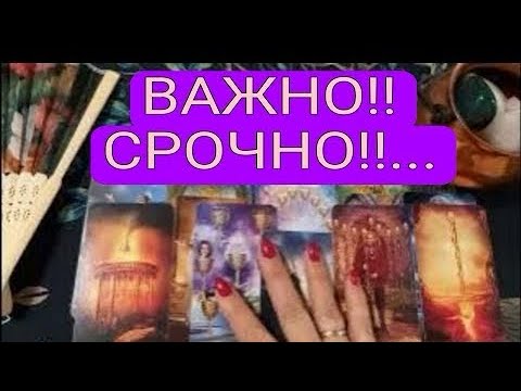 Видео: 💯 ☘️Что ждёт 🧿🌺