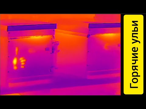 Видео: Проверка ульев тепловизором