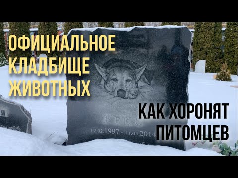 Видео: ОФИЦИАЛЬНОЕ СТОЛИЧНОЕ КЛАДБИЩЕ ДОМАШНИХ ЖИВОТНЫХ В МОСКВЕ | ГДЕ И КАК ХОРОНИТЬ ПИТОМЦА |PET CEMETERY