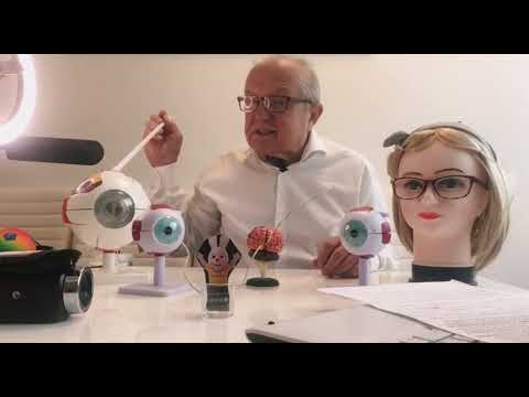 Видео: Как работает наше зрение? 