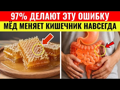 Видео: МЁД вызывает необратимые изменения в вашем кишечнике, особенно после 65 лет! 97% об этом не знают