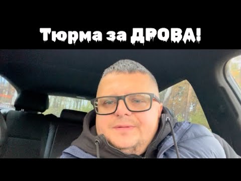 Видео: ТЮРМА ЗА ДРОВА? #Валежник- ПОЗА ЗАКОНОМ?? #9665