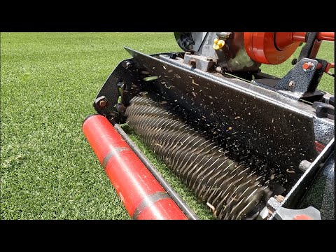 Видео: Ухаживаю за газоном в Тифтуфе
