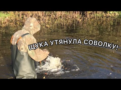 Видео: ЗАБИТАЯ СОВОЛКА КАРАСЯМИ!СДЕЛАЛ НОВЫЙ ПЛОТИК!?
