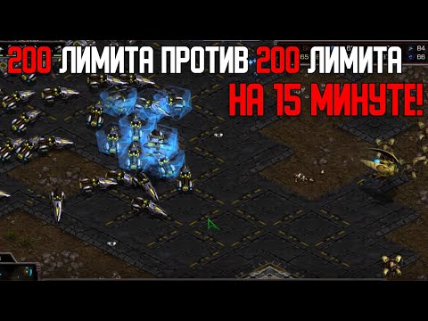 Видео: Старкрафт P VS T 200 лимита собрано пора воевать!