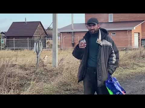 Видео: Планируем отловить мать щенков для стерилизации!Просим помощи!Приют ДРУГ ЖИВИ.ГОМСК