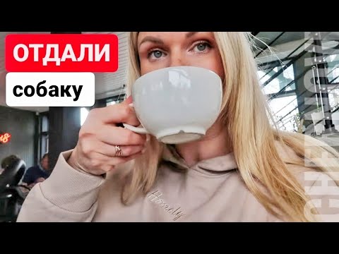 Видео: УЕЗЖАЕМ ❗️ЭТО ТРЕБУЕТ ПОДГОТОВКИ  🤷‍♀️ весь день гуляем 👌 НАКОНЕЦ-ТО ТО ТЕПЛО❗️