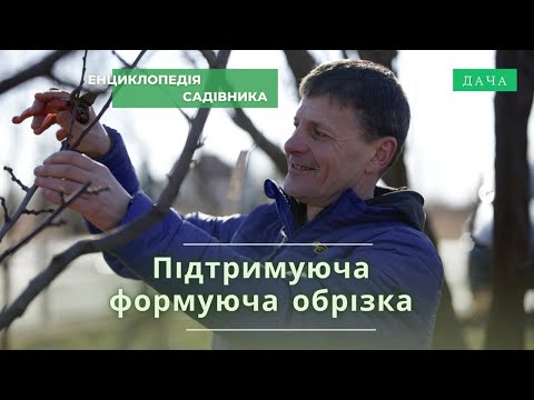 Видео: Підтримуюча Формуюча Обрізка. Як Правильно Зробити Обрізку Саду?