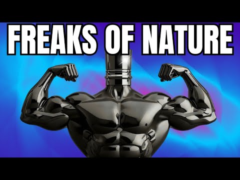 Видео: 10 стойких недорогих мужских ароматов! Клоны и дизайнеры