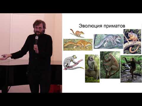 Видео: Дробышевский С.В. Происхождение человека. 05.11.2022 Лекторий ВЕРШИНЫ НАУКИ