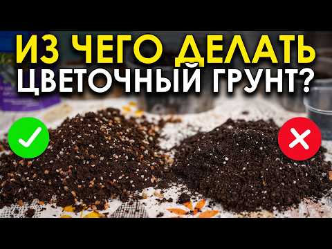 Видео: Если вы хотите ПЫШНОЕ цветение своих ЛЮБИМЫХ цветом – это НАДО знать! / Как сделать идеальный грунт?