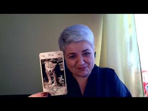 Видео: Вся информация о важном человеке......