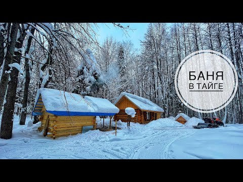 Видео: Печь жарит будь здоров! | Строим баню | Перешли на внутренние работы | Лесорубы рядом