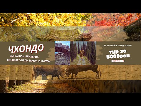 Видео: СЕКРЕТНЫЙ ТУР ЗА 5,000₩ Корейцы знают, туристы — нет