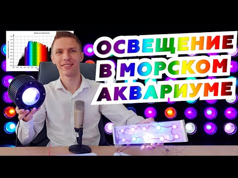 Видео: Освещение в морском аквариуме