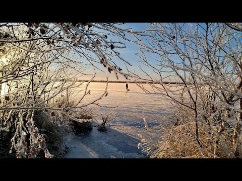 Видео: На Ямале первый лёд! Щука на жерлицы 2025!