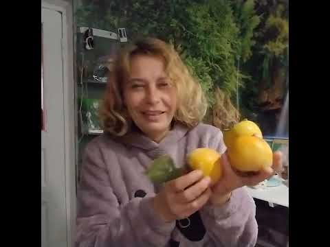 Видео: Про jraki