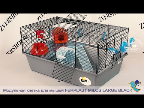 Видео: Модульная клетка Ferplast для мышей Milos Large Black