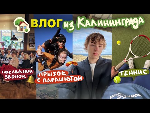 Видео: семейный влог из Калининграда///парашют, потерял чемодан, познакомили наших мам