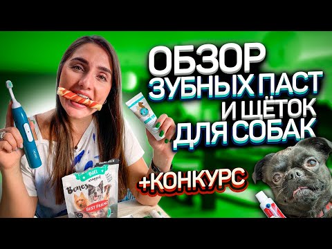 Видео: БЕЛОСНЕЖНАЯ УЛЫБКА для ТВОЕЙ СОБАКИ / ЛАКОМСТВА,ПАСТЫ,САЛФЕТКИ для ЧЕТВЕРОНОГИХ / ОБЗОР ДОГ-ГАДЖЕТОВ