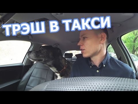 Видео: СОБАКА НАГАДИЛА В ТАКСИ / ТРЭШ ПЯТНИЦА / САМАЯ ДИКАЯ СМЕНА