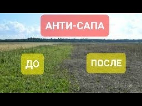 Видео: АНТИ-САПА до бурьяна или ПО бурьяну ? Сравнение как лучше.