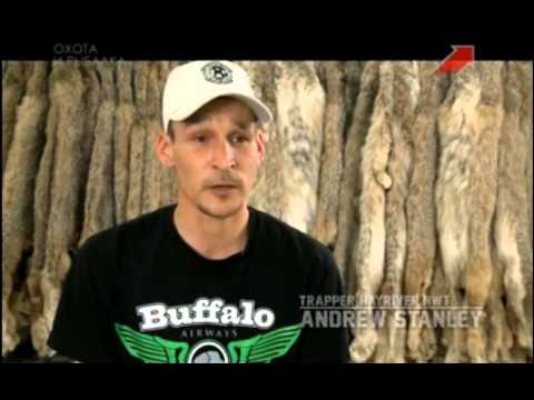 Видео: Охотники за пушниной 6