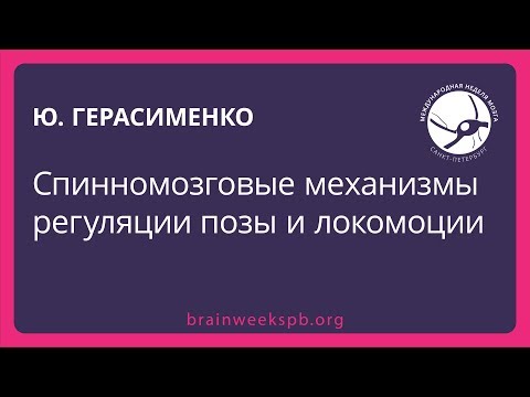 Видео: Спинномозговые механизмы регуляции позы и локомоции (Юрий Герасименко)