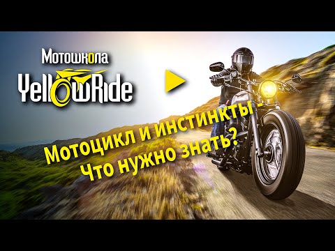 Видео: Мотошкола онлайн. Мотоцикл и инстинкты. Что нужно знать?