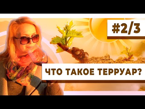 Видео: Кулуары терруара. Что такое терруар? Часть 2/3. Почвы виноградников. Экосистема. Климат.