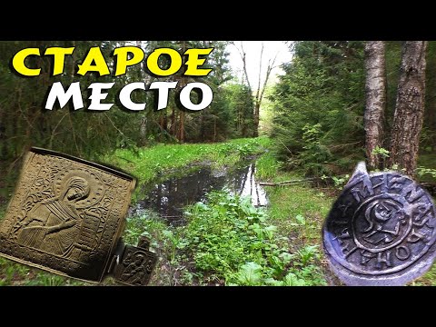 Видео: Коп в лесу Поиск монет в забых местах