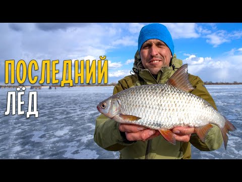 Видео: ПОСЛЕДНИЙ ЛЕД. Ловля белой рыбы на мормышку на большой глубине. 7 ВИДОВ РЫБ на закрытие сезона.