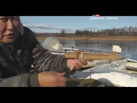 Видео: коллекция ножей