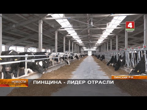 Видео: ПИНЩИНА - ЛИДЕР ОТРАСЛИ