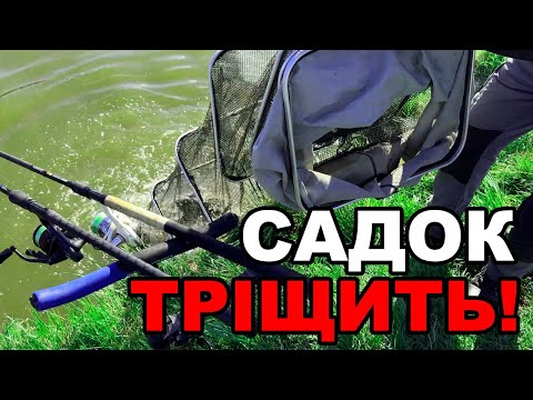 Видео: Рибалка на коропа і карася на ставку: фідерна ловля з трофейним уловом!