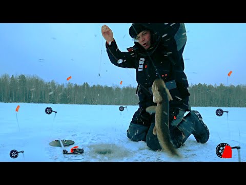 Видео: НАШЁЛ ЩЕДРОЕ ОЗЕРО С ГОЛОДНОЙ ЩУКОЙ И ОБАЛДЕЛ! Щука на жерлицы по первому льду. Зимняя рыбалка 2024