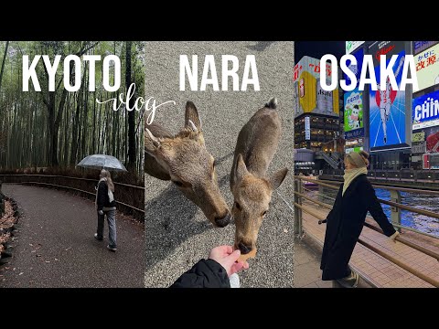 Видео: Киото Осака Нара 🇯🇵  Япония Влог