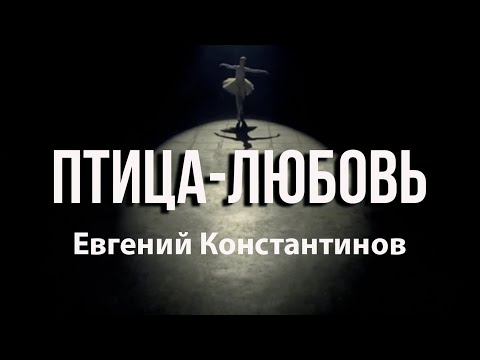 Видео: Евгений Константинов - Птица Любовь