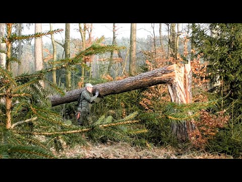 Видео: Вот это я ХАПНУЛ нежданчик драгоценный!