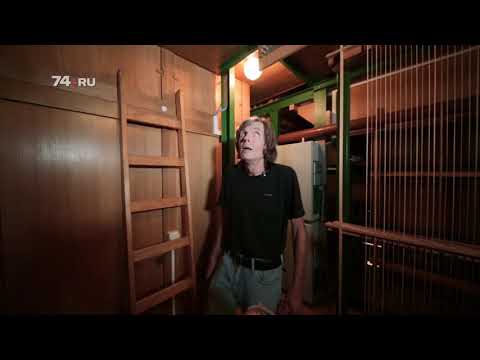 Видео: Как устроен орган