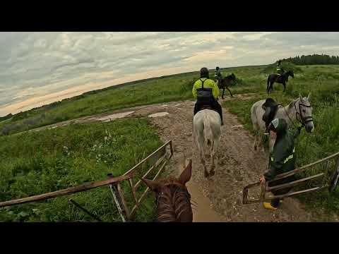 Видео: На любимой конюшне PERFOMANCE | В ливень на мотоцикле и на коне