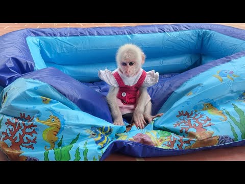 Видео: Попробуй не засмеяться😂! Лук пошалил и разрушил бассейн и убежал.