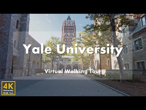 Видео: Йельский университет (Yale University) - Часть 2 - Виртуальная пешеходная экскурсия [4k 60fps]