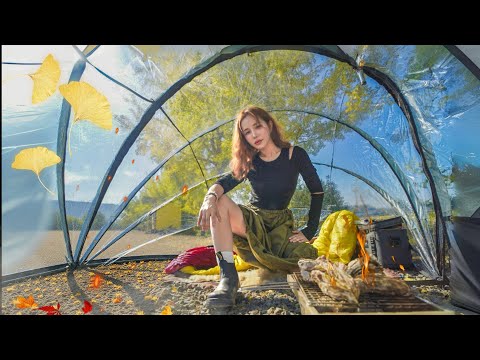 Видео: Одиночный кемпинг под тёплым деревом гинкго / 🔥Устрицы на гриле и макколи мукбанг